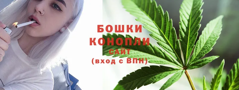 Шишки марихуана SATIVA & INDICA  сколько стоит  Дубовка 